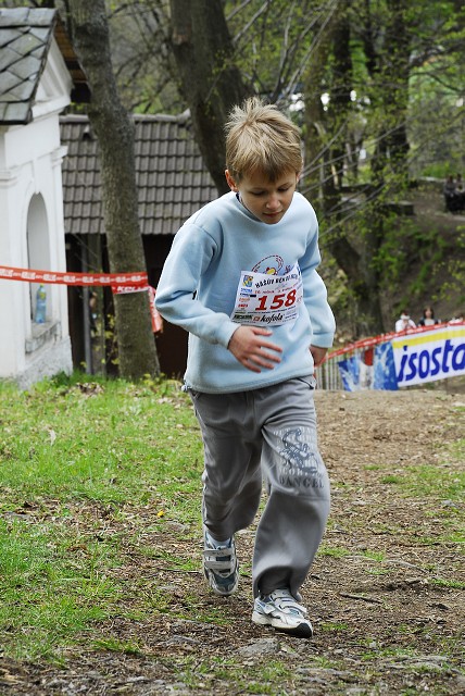 img00138.jpg
