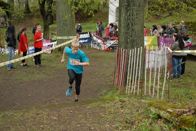 img00082.jpg
