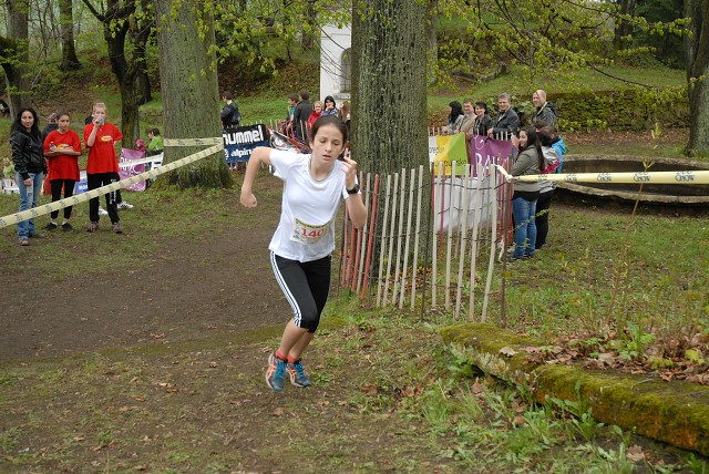 img00085.jpg