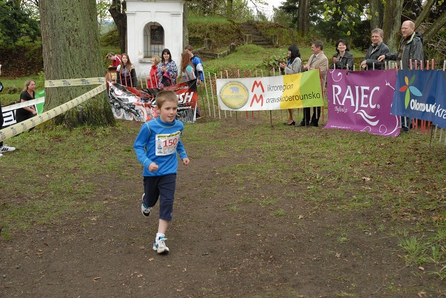 img00095.jpg