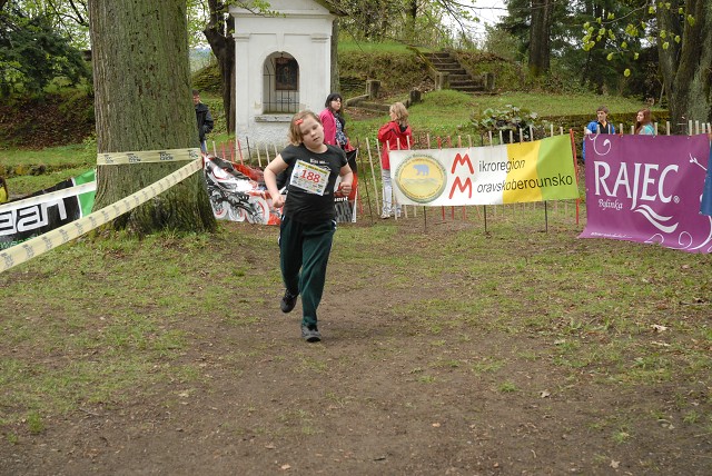 img00135.jpg