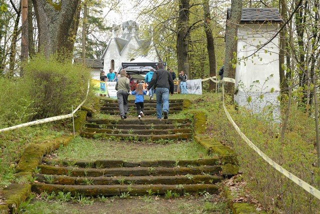 img00146.jpg