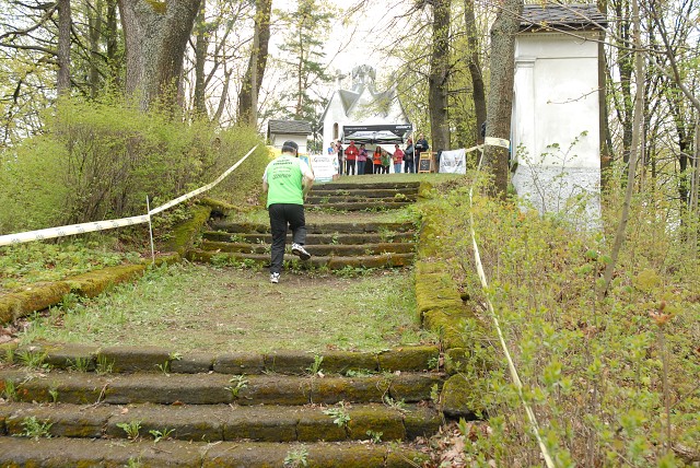 img00151.jpg