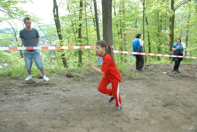 img00099.jpg