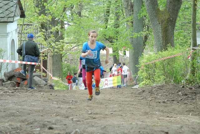img00108.jpg