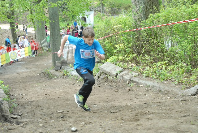 img00116.jpg