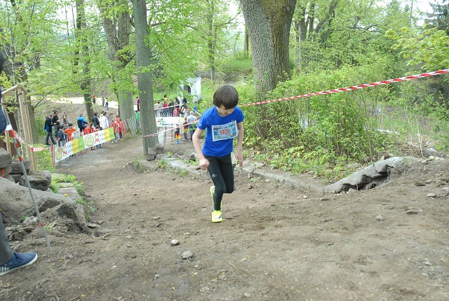 img00117.jpg