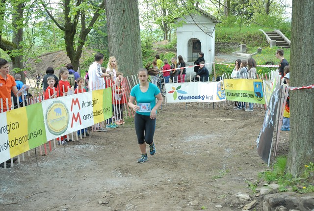 img00120.jpg