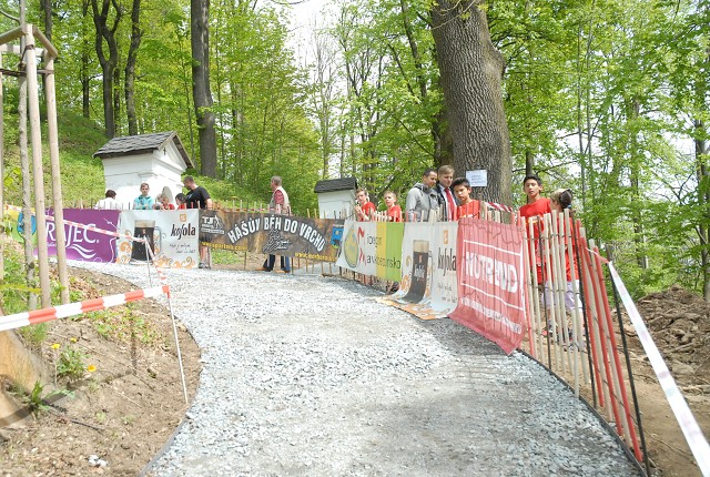 img00177.jpg