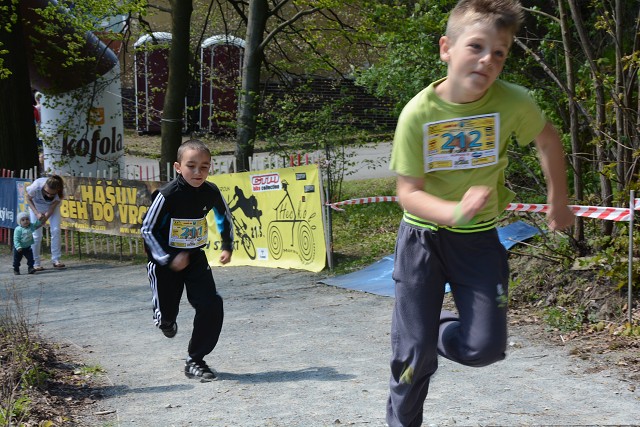 img00169.jpg