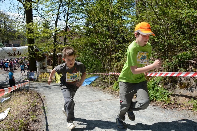 img00174.jpg