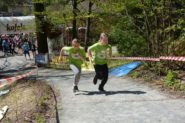 img00175.jpg