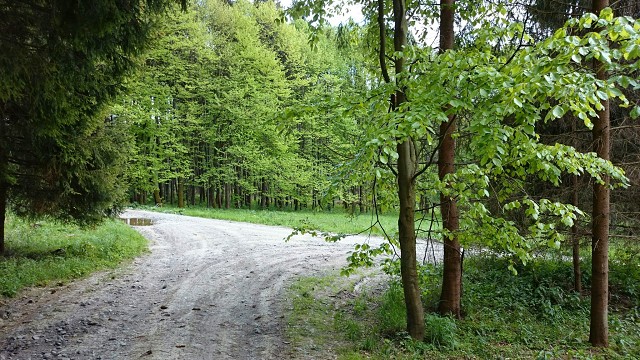 img00005.jpg