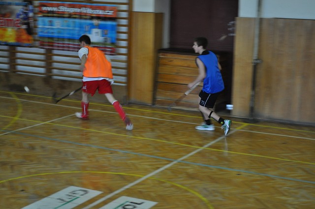 img00170.jpg