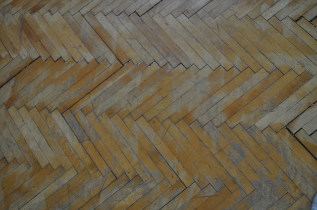 img00224.jpg