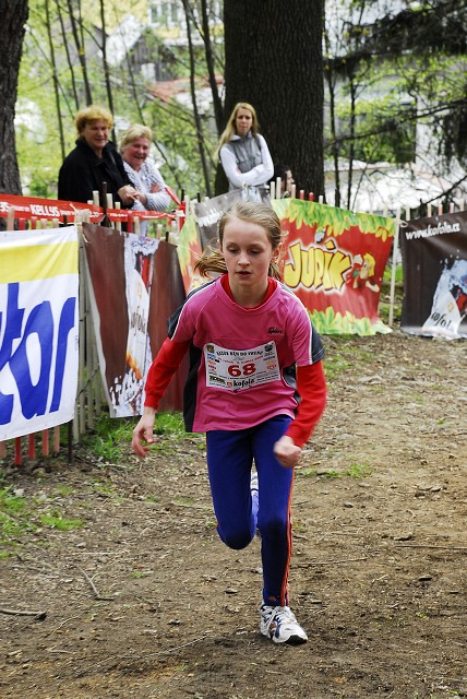 img00046.jpg