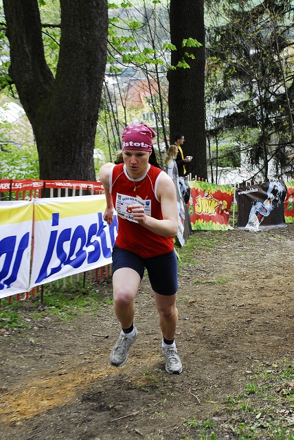 img00062.jpg