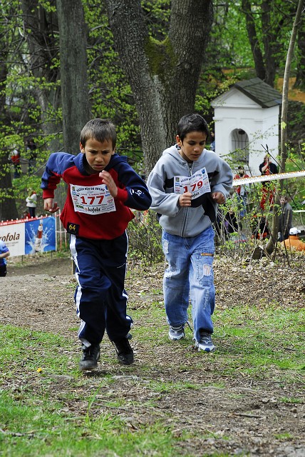 img00162.jpg
