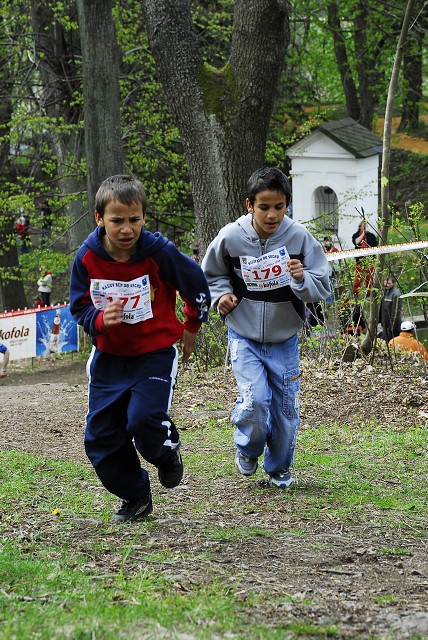 img00163.jpg