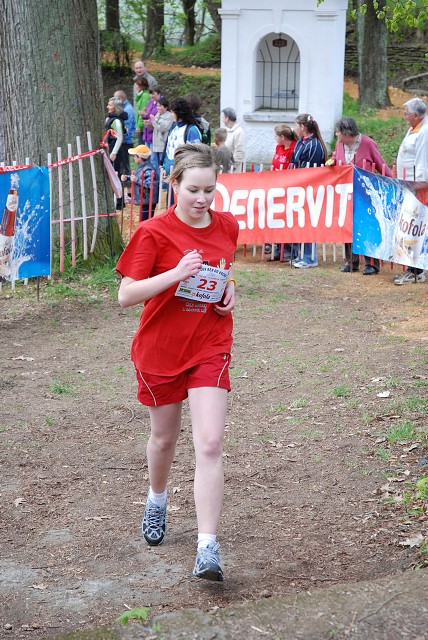 img00188.jpg