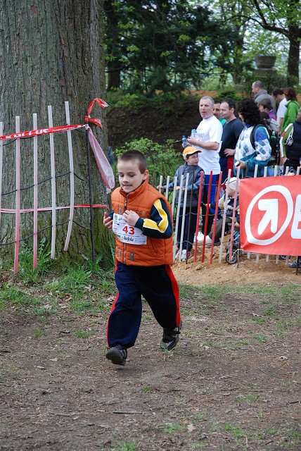 img00208.jpg