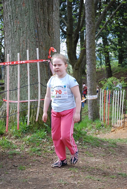 img00236.jpg