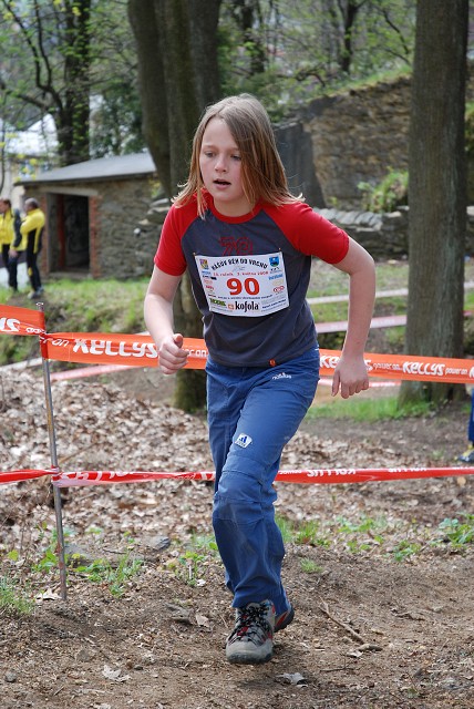 img00253.jpg