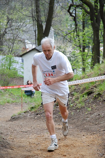 img00295.jpg