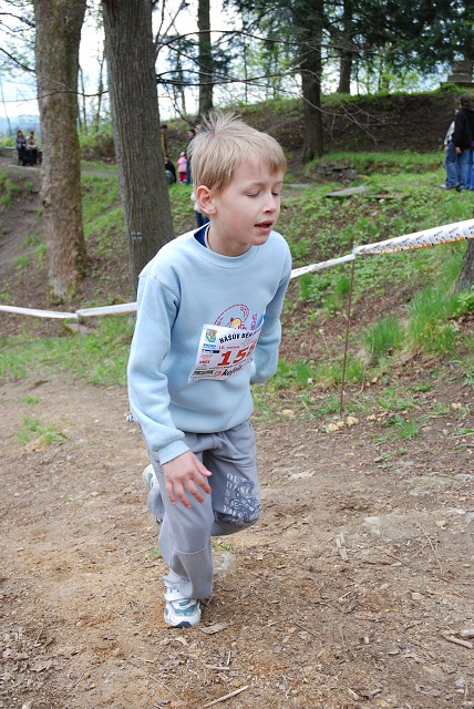 img00319.jpg