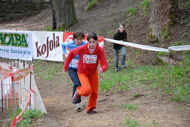 img00321.jpg