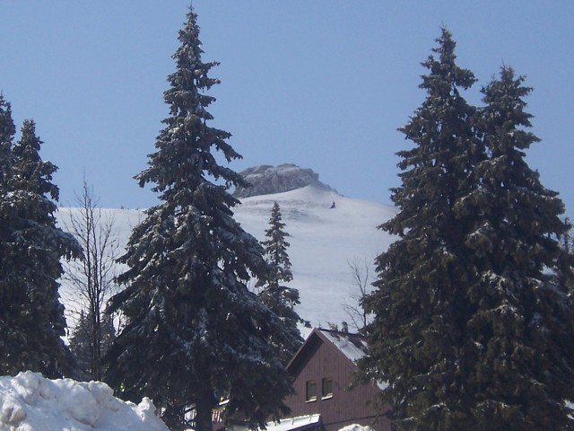 img00013.jpg