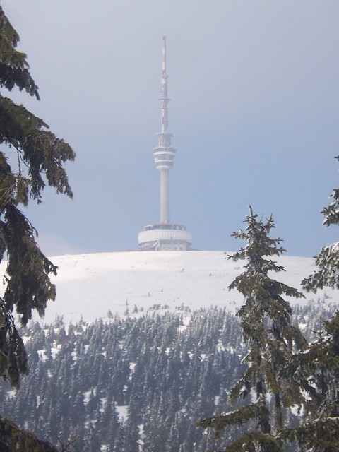 img00025.jpg