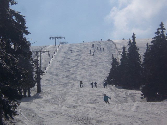 img00061.jpg