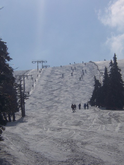 img00062.jpg