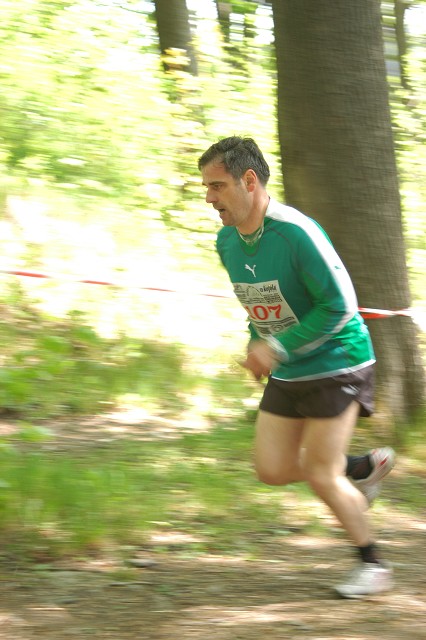 img00016.jpg