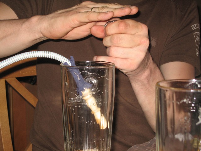 img00021.jpg
